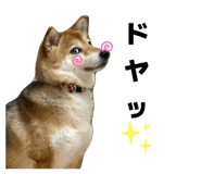 842488508