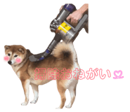 842488509