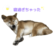 842488510