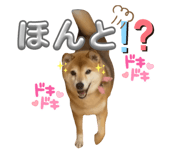 842488511
