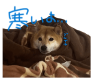 842488512