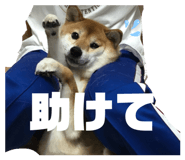 842488513