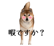 842488517