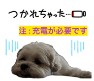 842488641