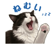842488812