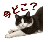 842488820