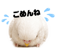 842488834