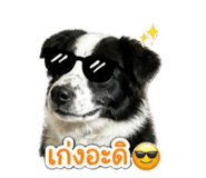 842498163