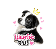 842498168