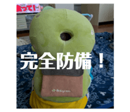 842499293