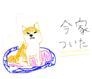 842502668
