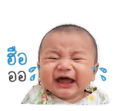 842503050