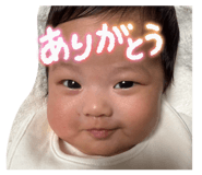 842503288
