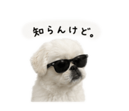 842503408