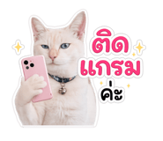842503698