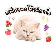 842503712