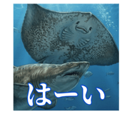 842503834