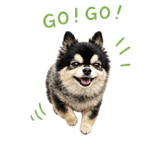 842504091