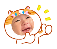 842504411
