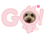 842504426