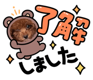842504477
