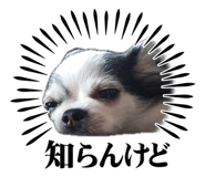 842504520