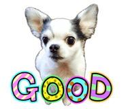 842504521