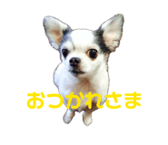 842504525