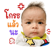 842505046