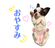 842505129