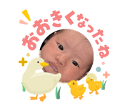 842505144