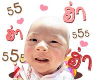 842505295