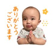 842505356