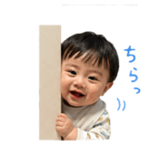 842505527