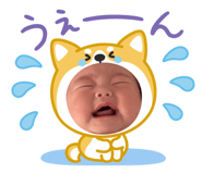 842505535