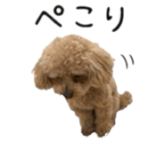 842505615