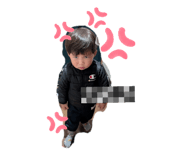 842505901