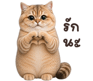 842506095