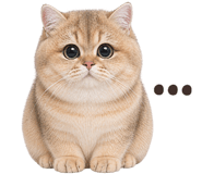 842506121