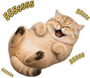 842506123