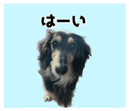 842506716