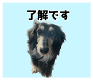 842506717