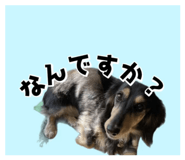 842506718