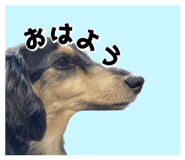 842506719