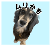 842506720