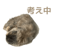 842506820
