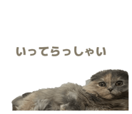 842506821