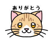 842506899