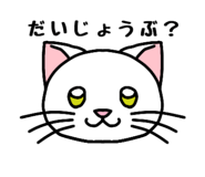 842506907