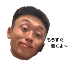 842506955